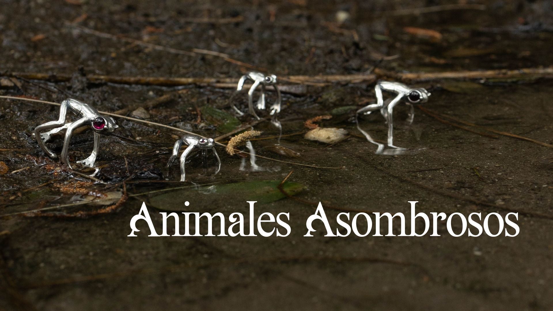 ANIMALES ASOMBROSOS - Citlali Joyas