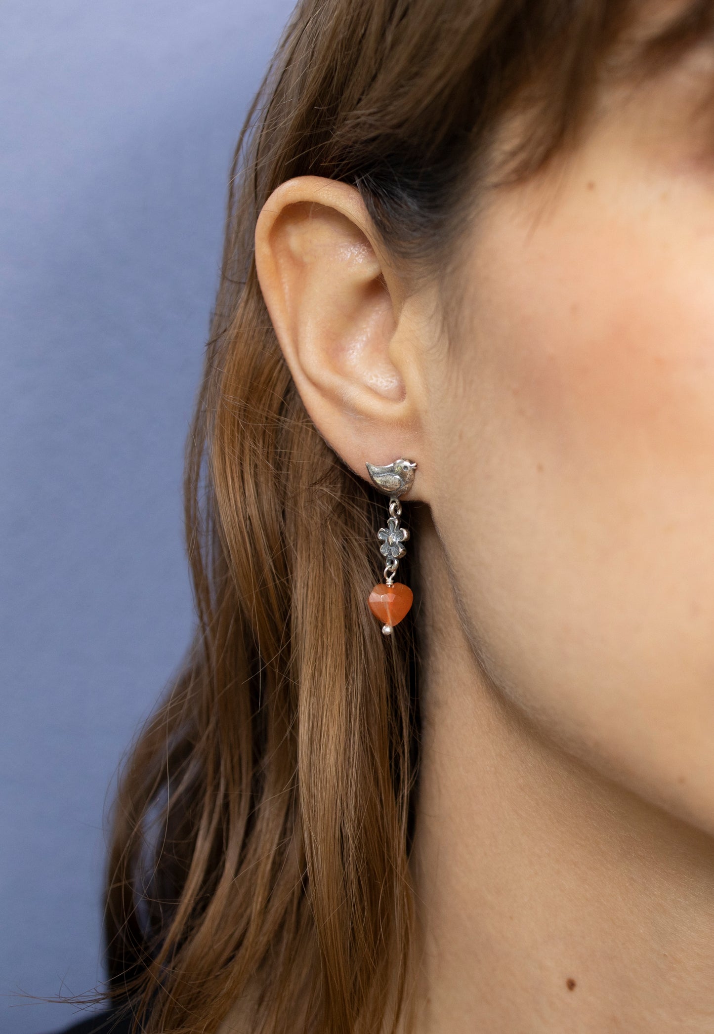 Aretes Pajaritos de la Amistad
