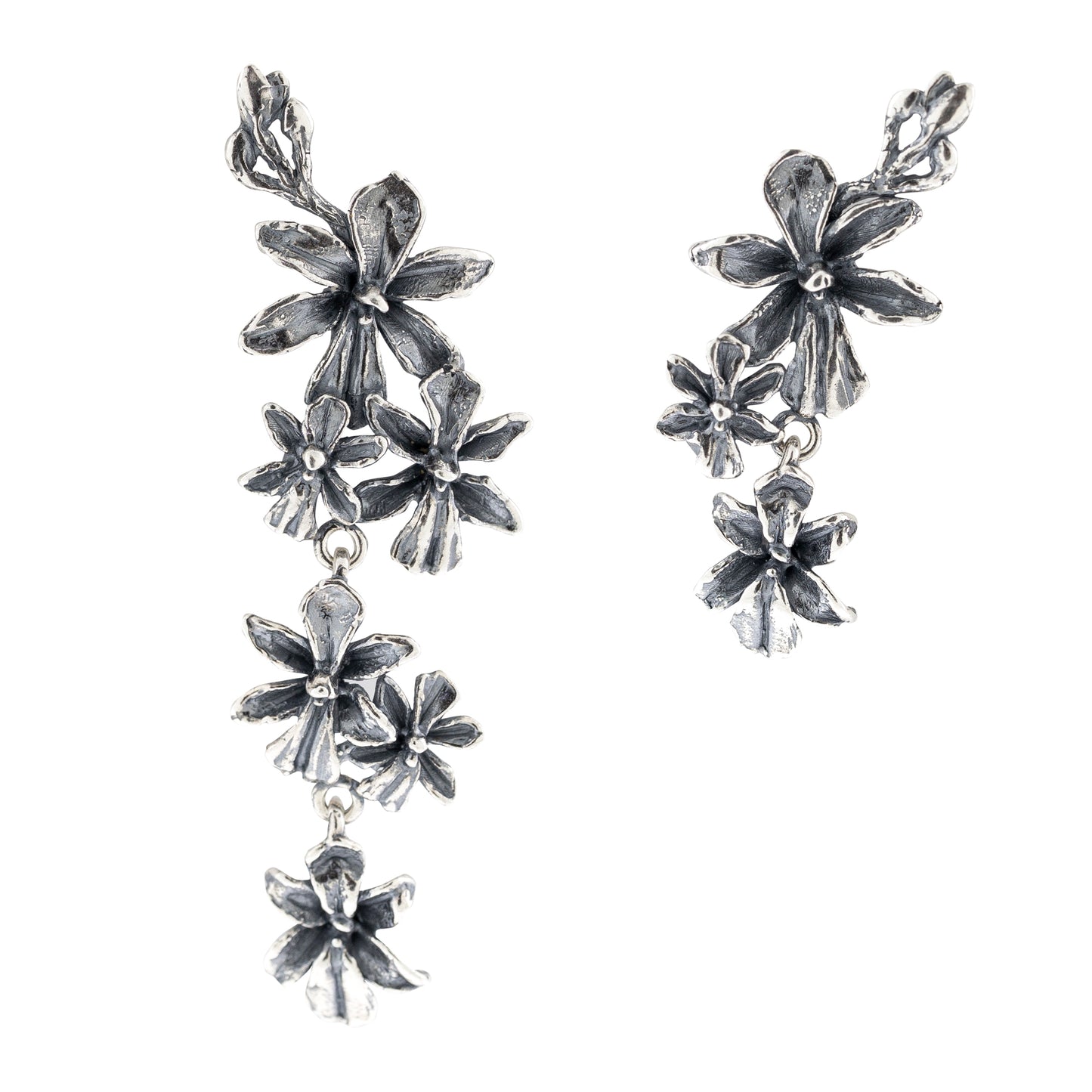 Aretes Venus Generosa