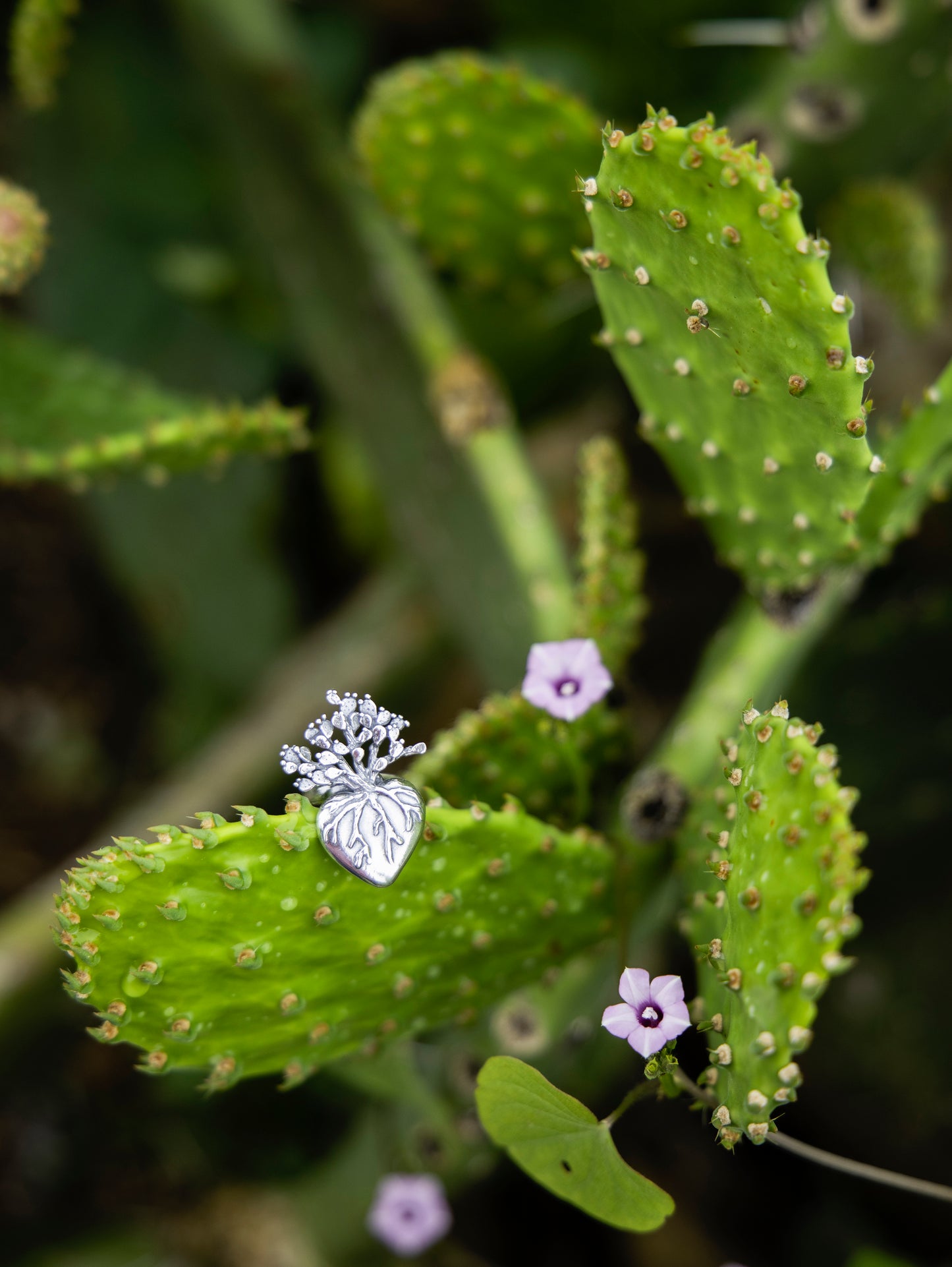 Anillo Corazón de Nopal grande - Citlali Joyas