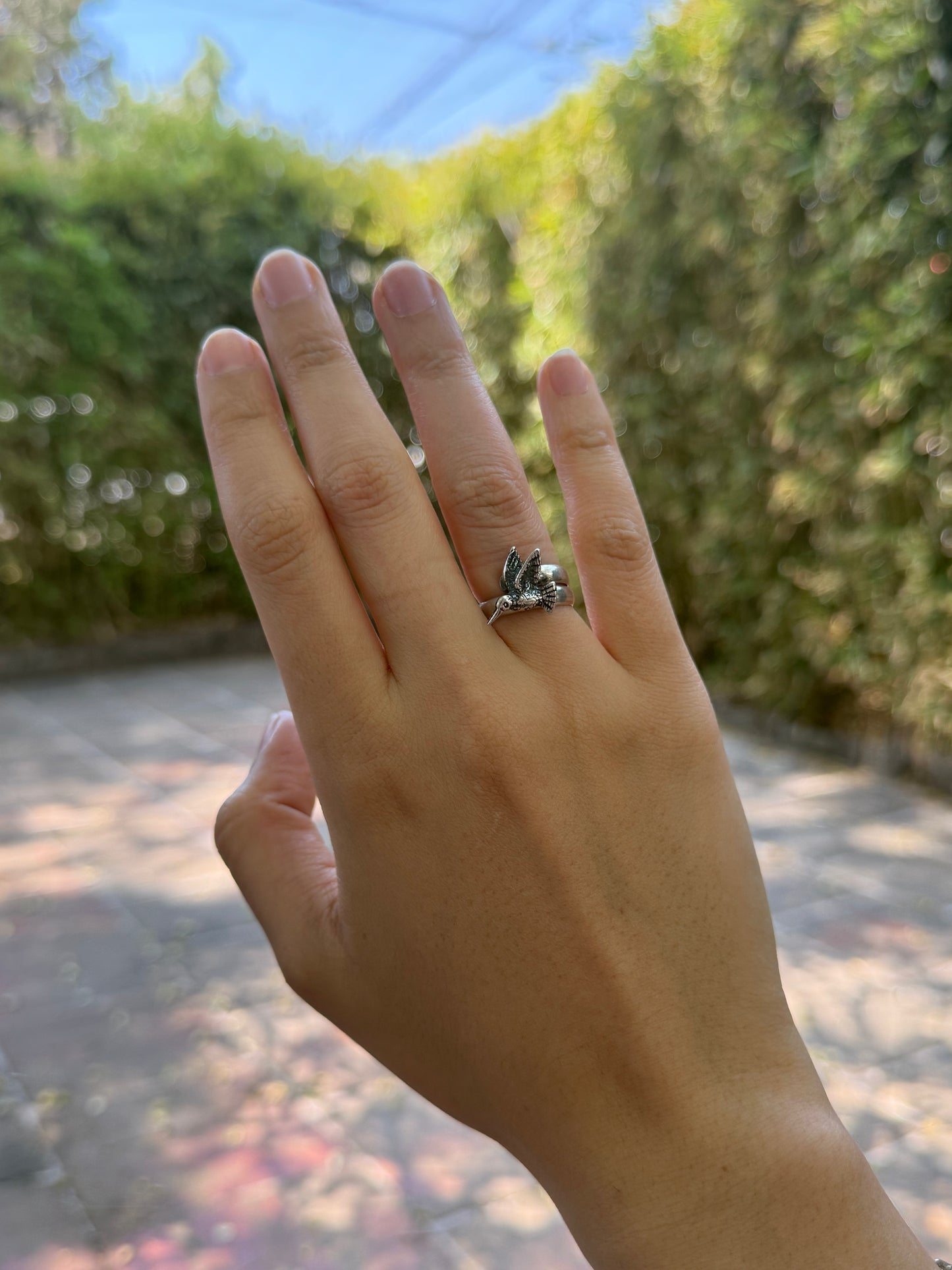 Anillo colibrí