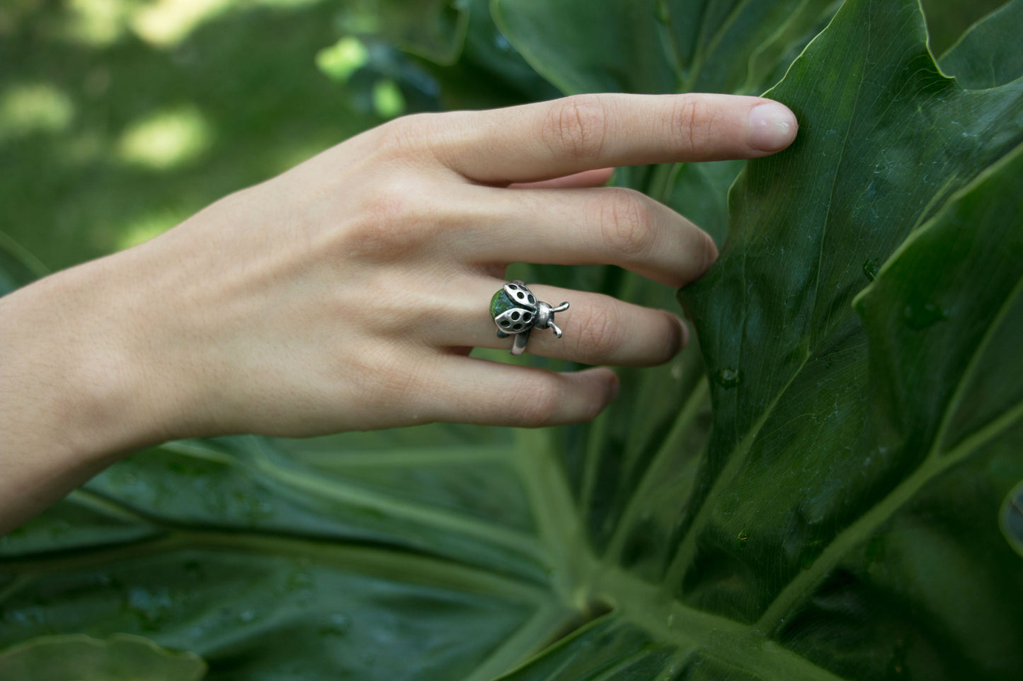 Anillo Catarina
