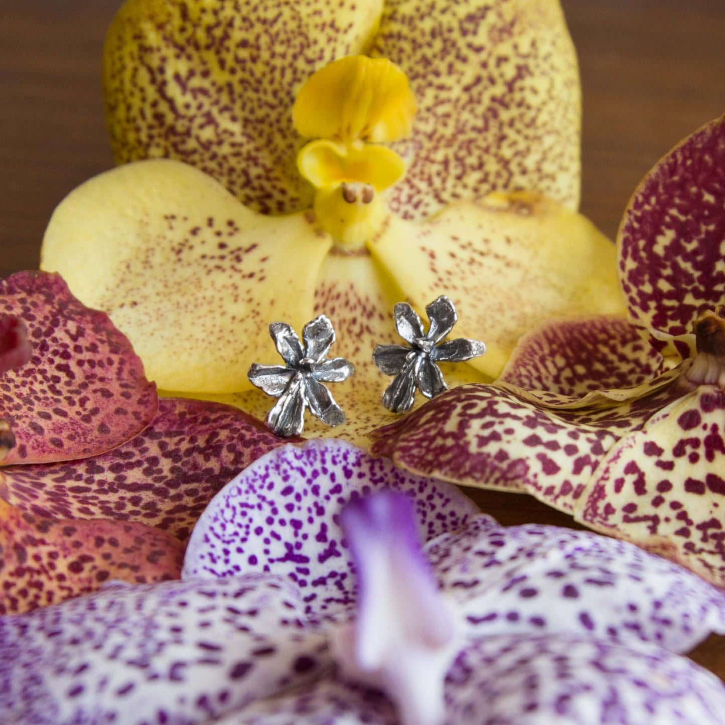 Aretes Venus Solidaria