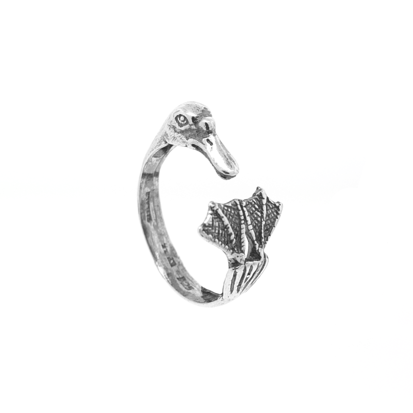 Anillo Pato