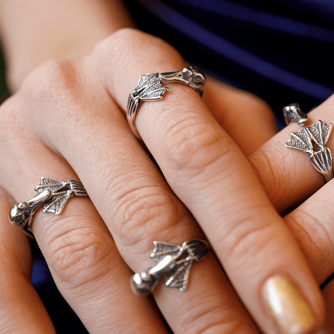 Anillo Pato