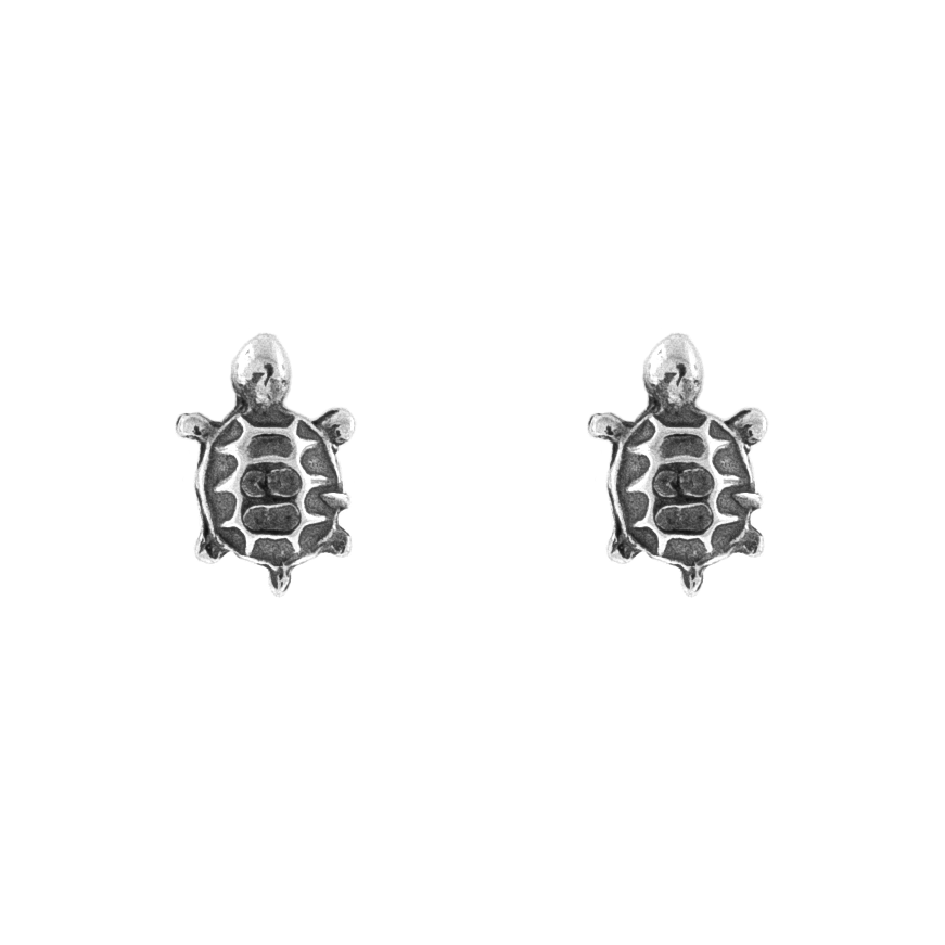 Broqueles Tortugas