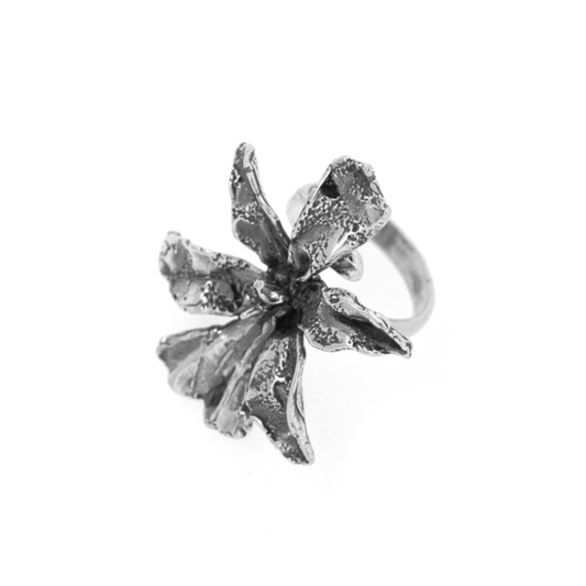 Anillo Venus Valiente