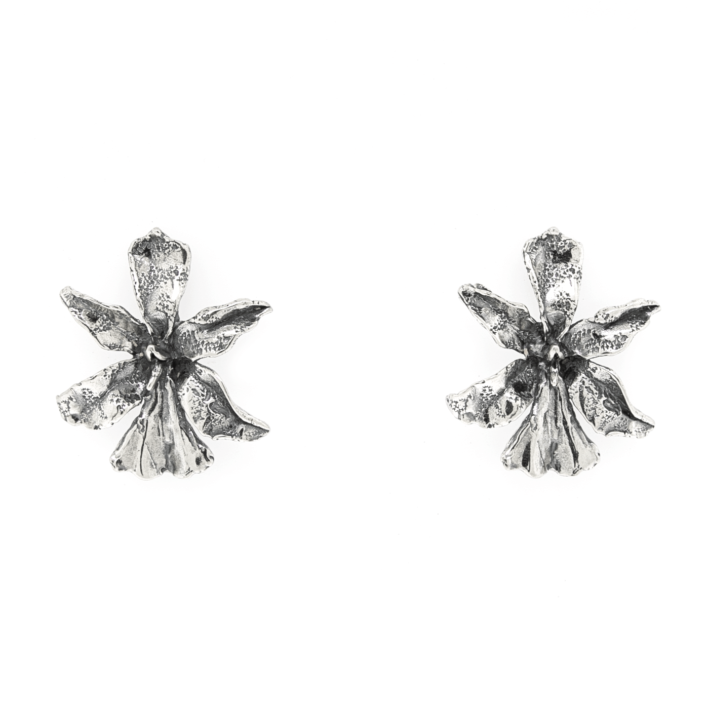 Aretes Venus Valiente