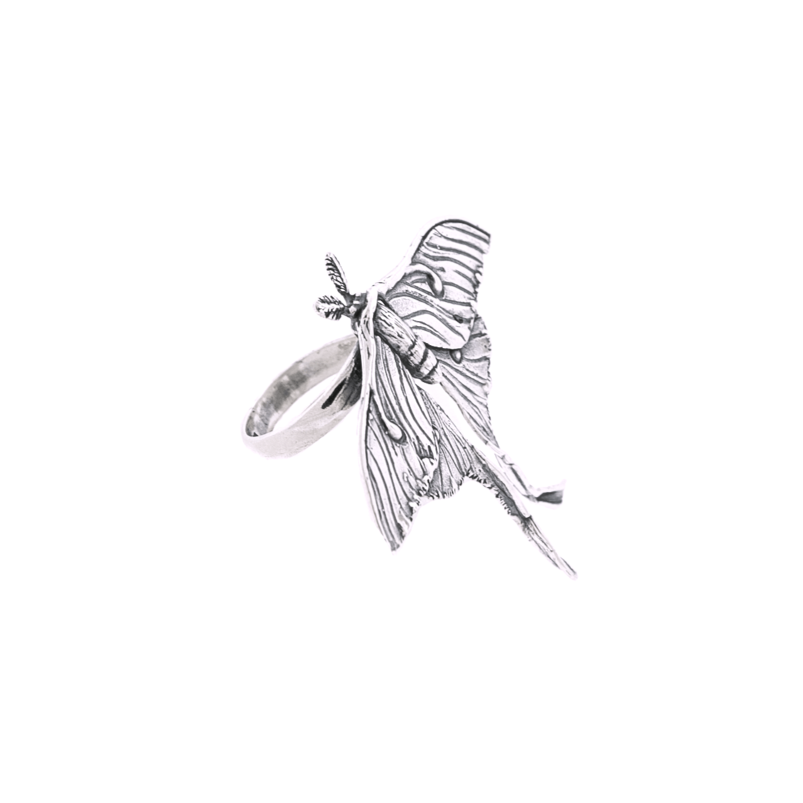 Anillo Polilla Luna