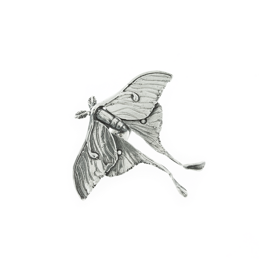 Anillo Polilla Luna