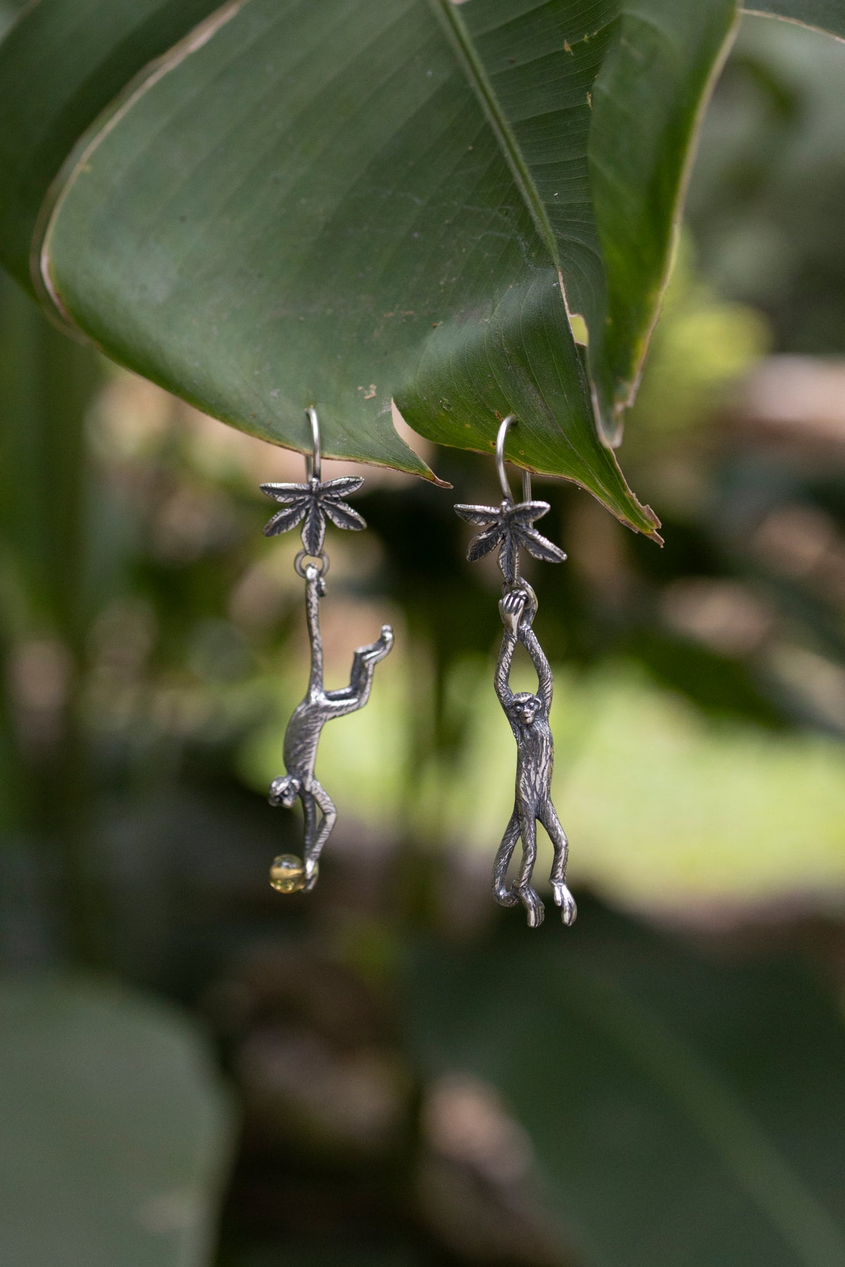 Aretes Jugando entre las ramas