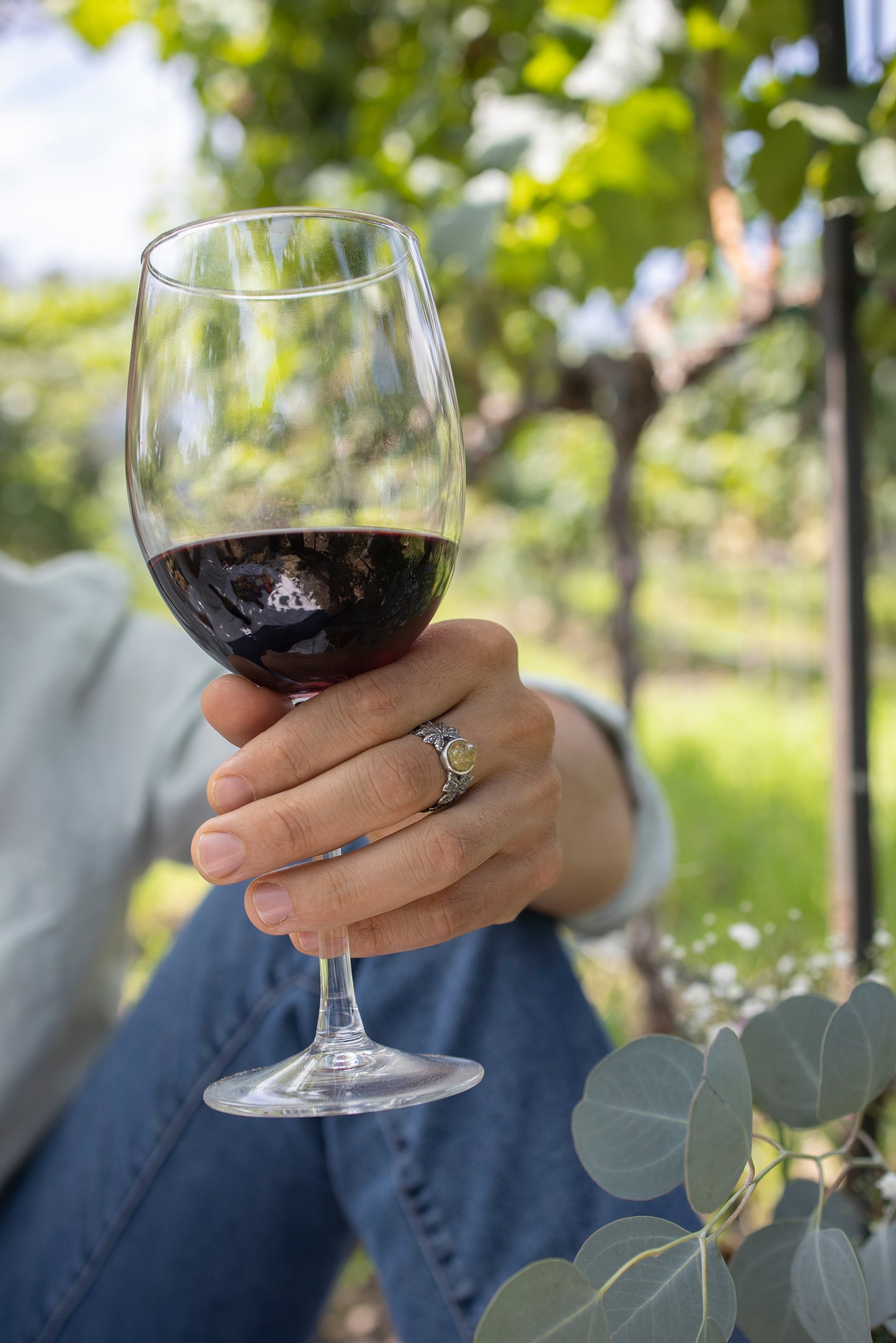 Argolla Vino de Primavera