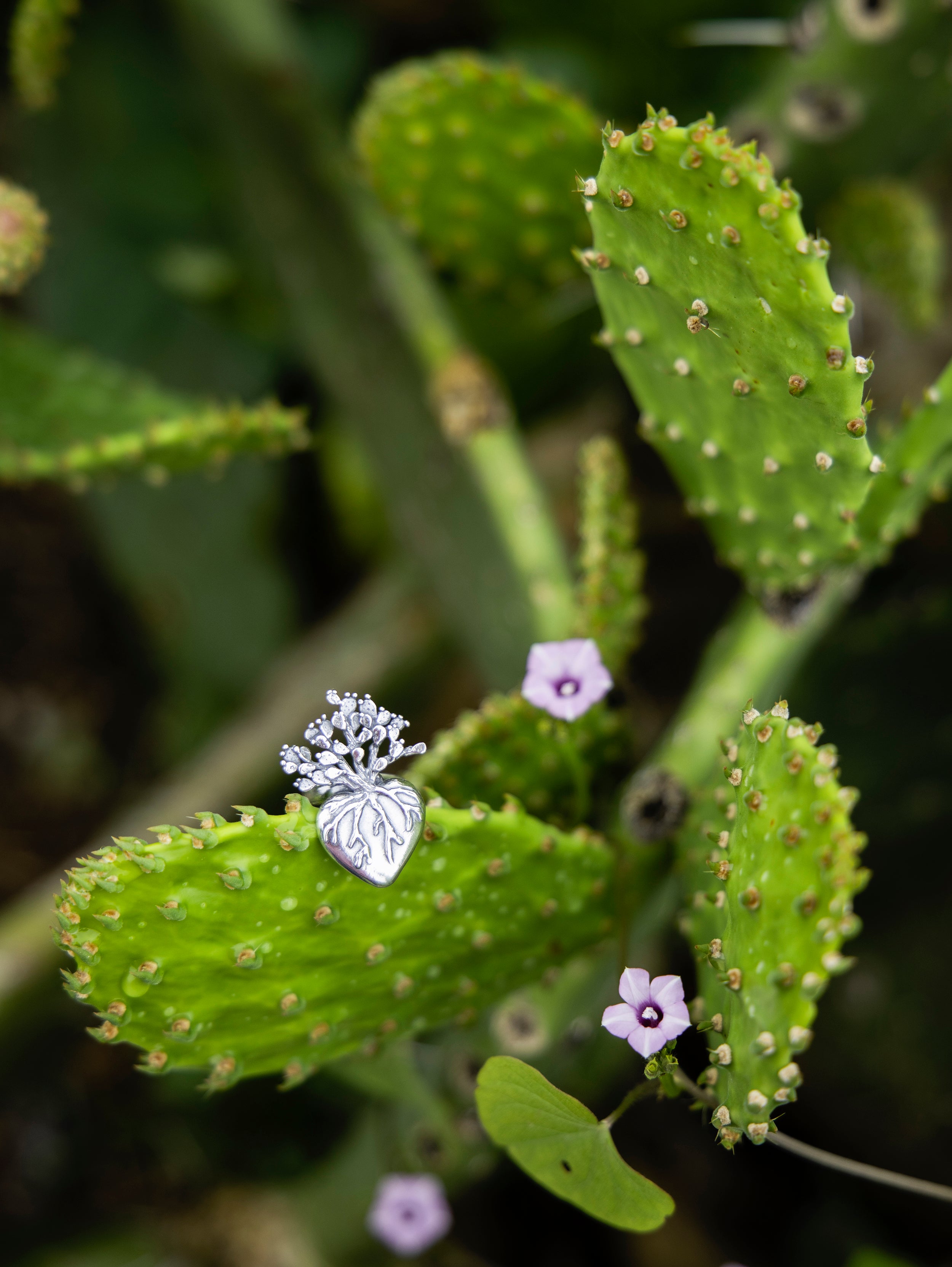 Anillo Corazón de Nopal grande - Citlali Joyas 