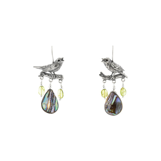 Aretes pájaros cantores coloridos