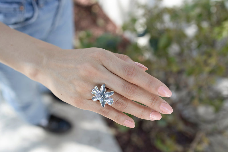 Anillo Venus Amorosa