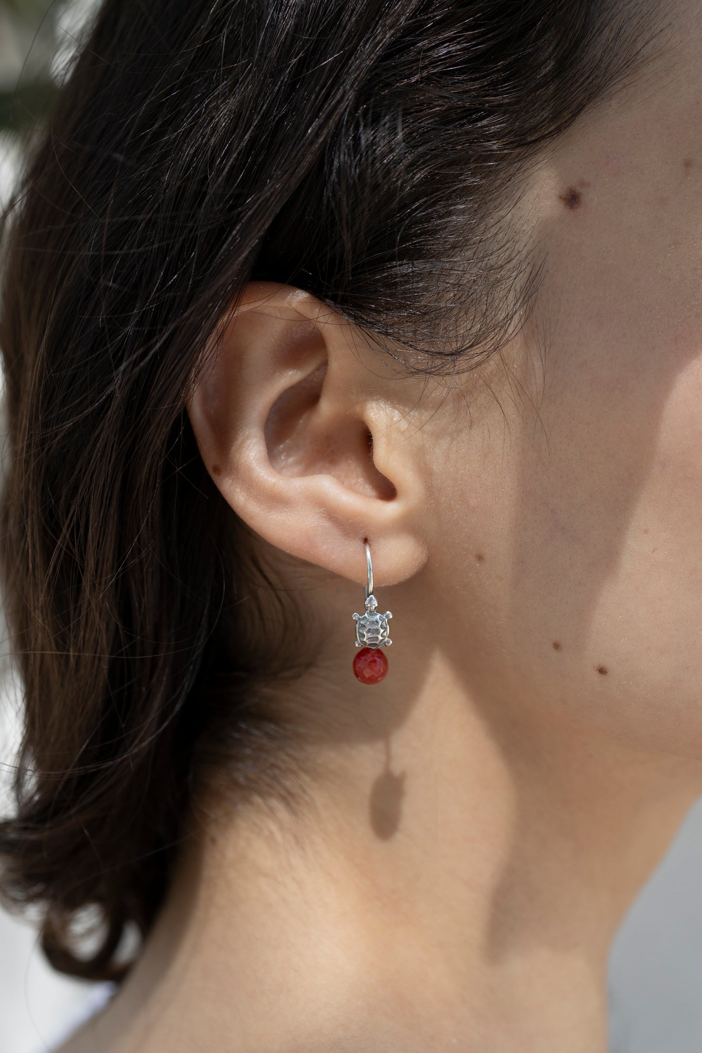 Aretes Tortuga
