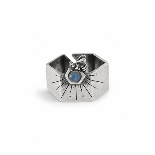 Anillo encuentro con el sol