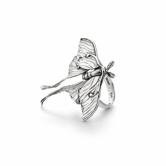 Anillo Polilla Luna