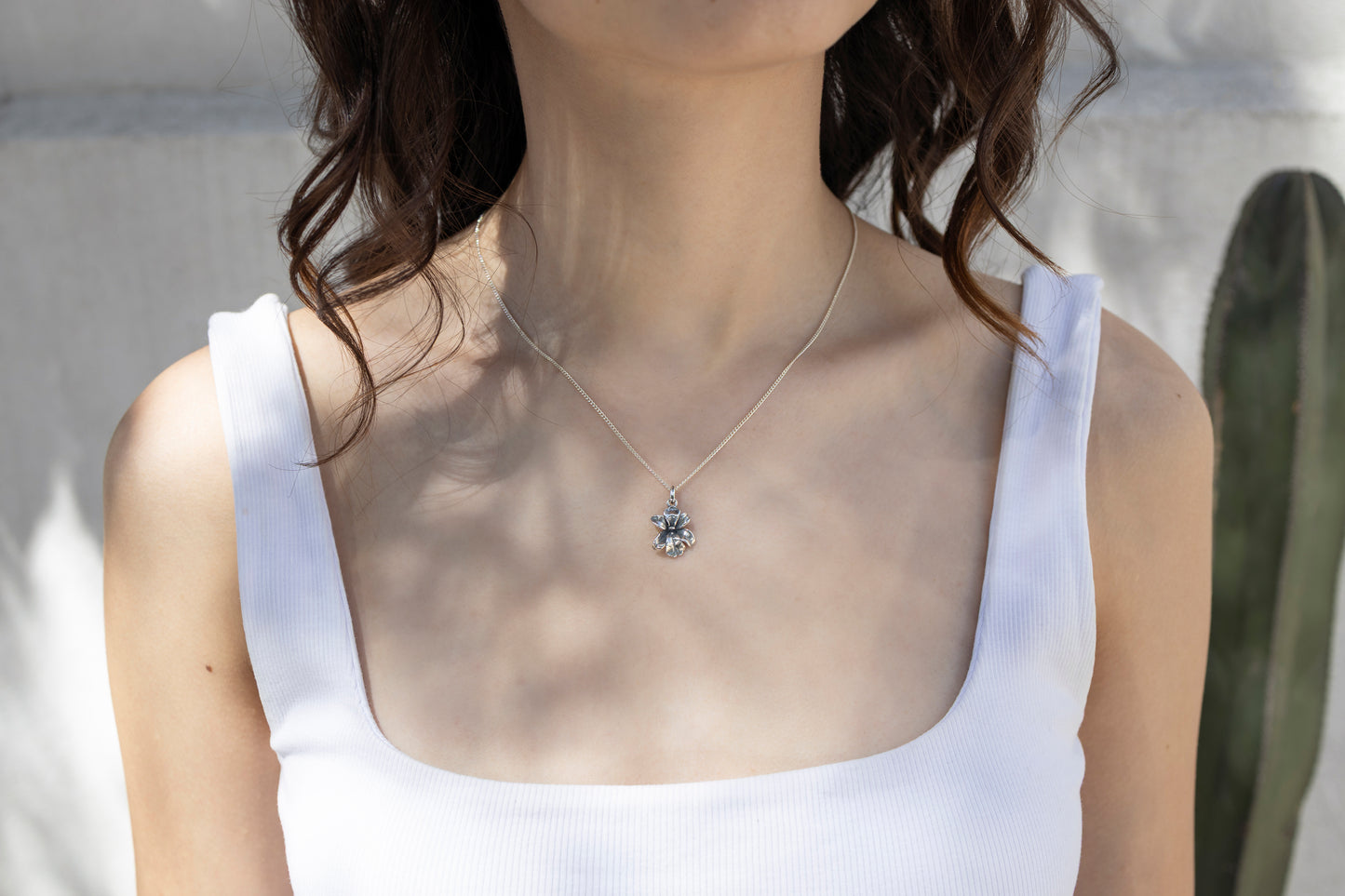 Dije Venus Solidaria