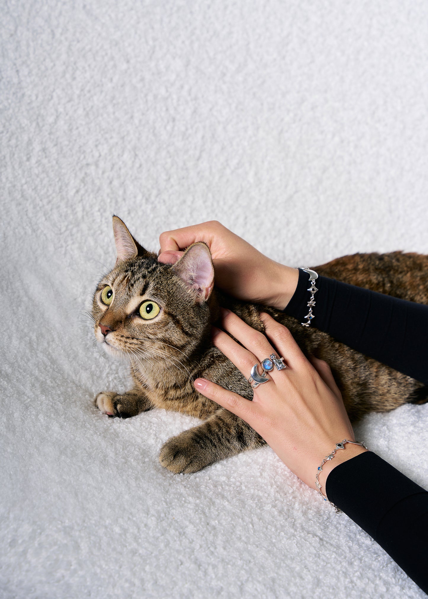 Anillo Gato juguetón