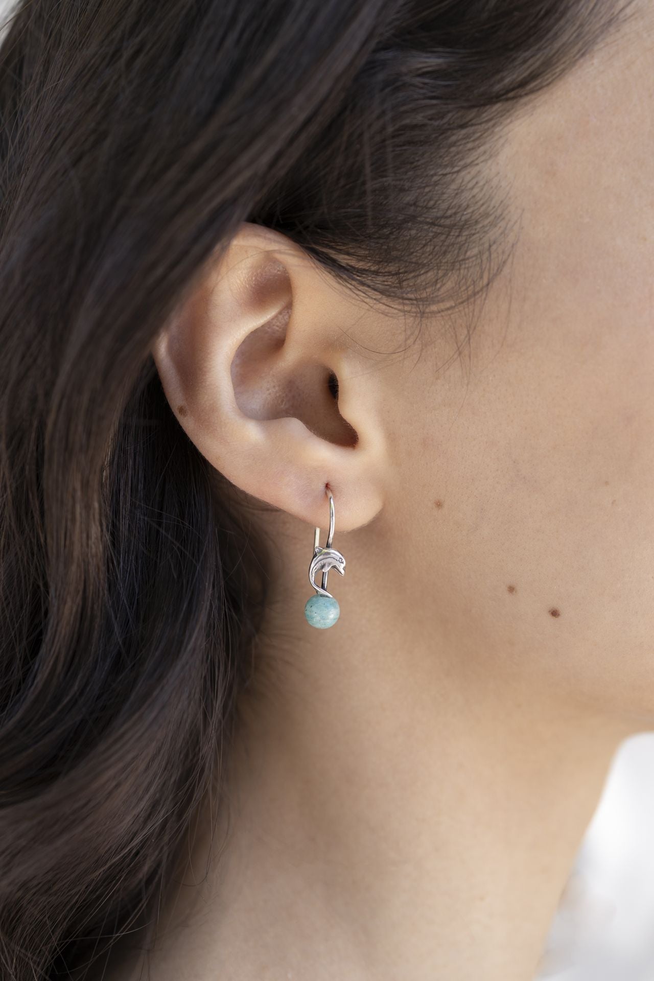 Aretes Delfín