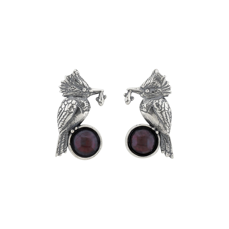 Aretes Martín pescador