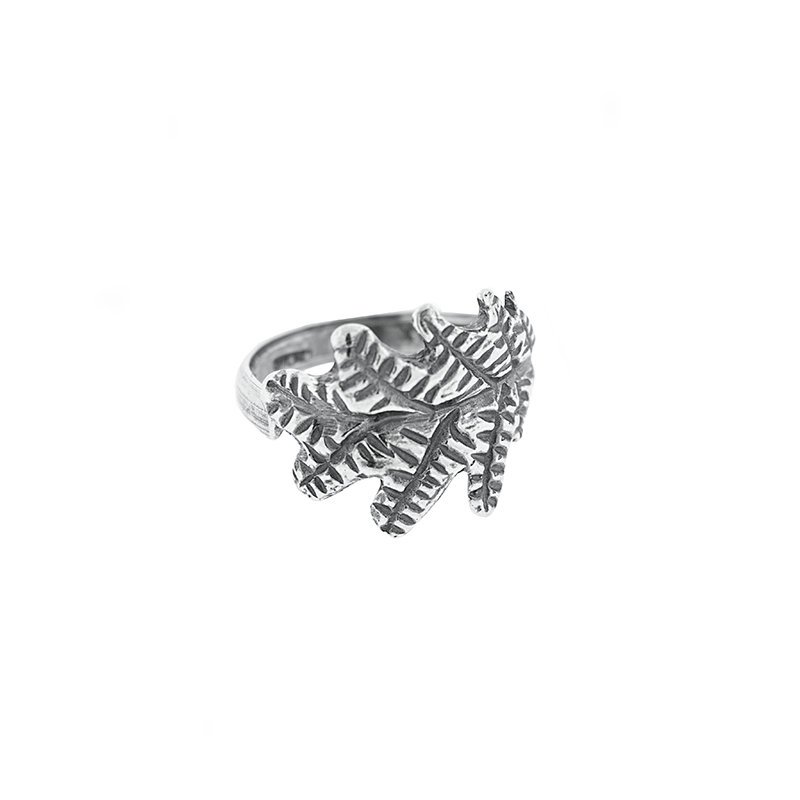 Anillo Roble