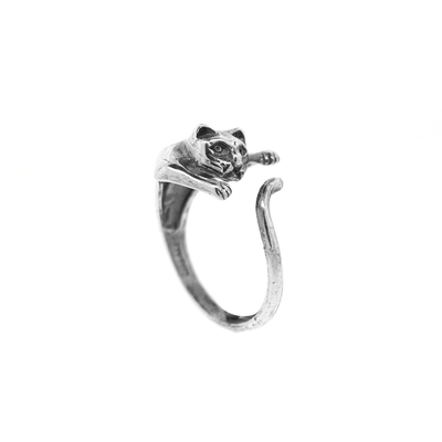 Anillo Minino