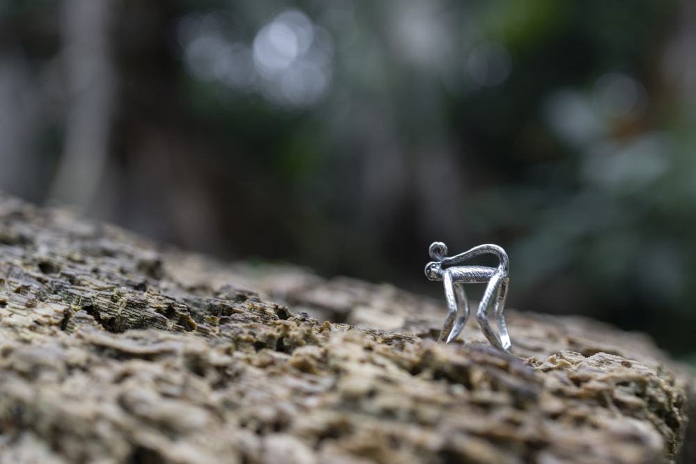 Anillo Mono en la selva