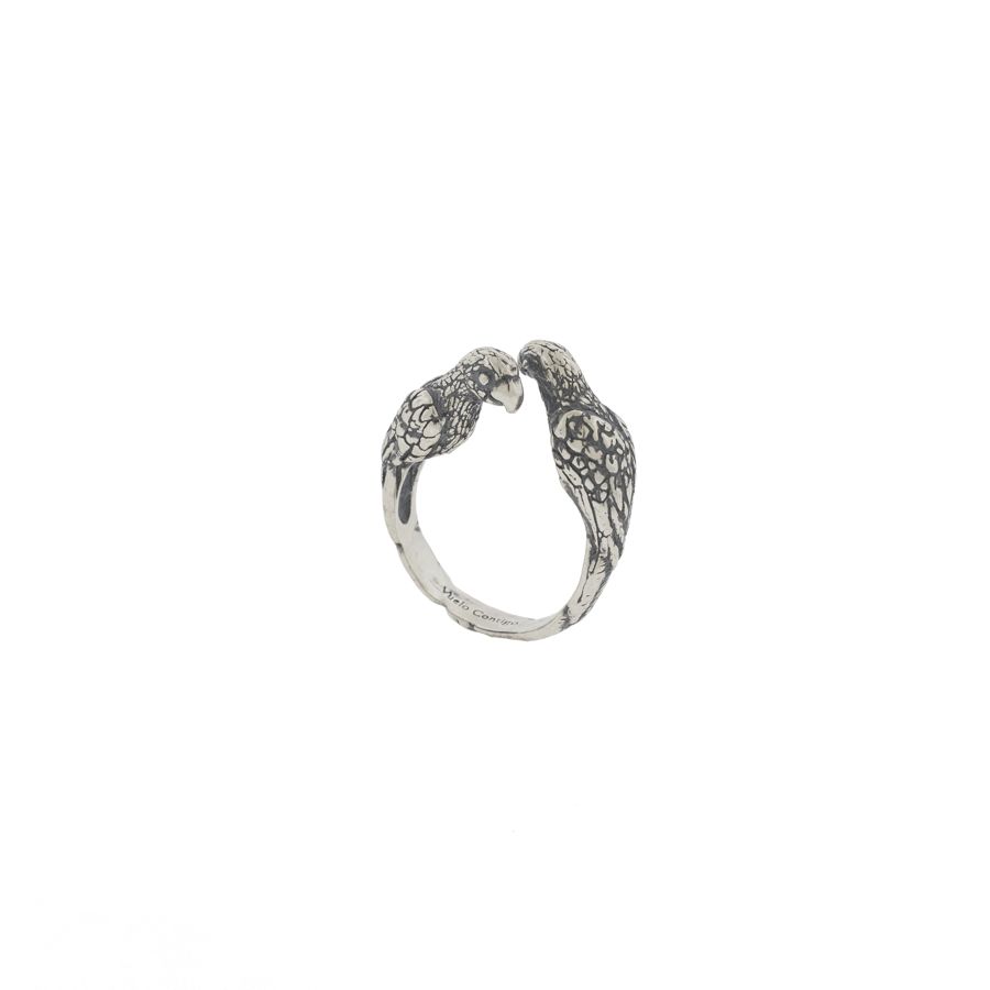 Anillo Guacamayas